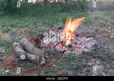 Feuer brennt im Wald bei Sonnenuntergang. Vorbereiten von Würsten für das Abendessen im Lager auf einer Waldlichtung. Stockfoto