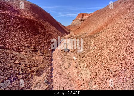 Eine V-förmige Schlucht im Red Forest im Petrified Forest National Park Arizona. Stockfoto