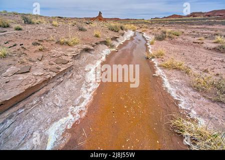 Eine fließende Quelle salzhaltiger Sole im Petrified Forest National Park Arizona. Befindet sich unterhalb des Pintado Point. Stockfoto