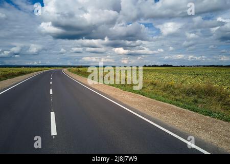 Luftaufnahme einer leeren Intercity-Straße zwischen grünen landwirtschaftlichen Feldern. Draufsicht von der Drohne der Autobahn Stockfoto