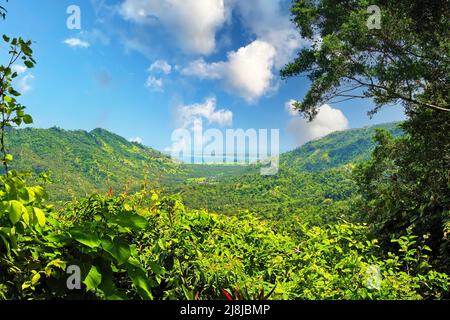 Wunderschöne asiatische Landschaft mit üppigen grünen tropischen Wald Tal, Ozean Hintergrund, Lombok - Indonesien Stockfoto