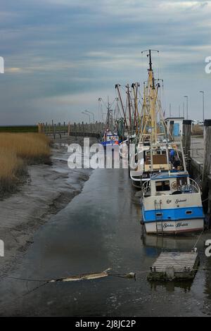 Fischtrwler bei Ebbe in einer Gewohnheit auf der Nordsee Stockfoto