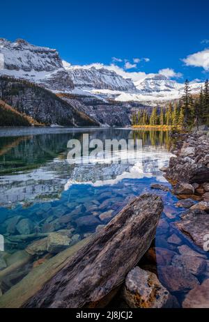 Herbst am Boom-See im Banff Nationalpark, Alberta, Kanada Stockfoto