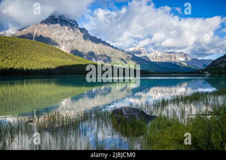 Morgenlicht auf Mount Chepren im Banff National Park, Alberta, Kanada Stockfoto