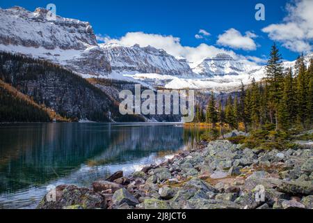 Herbst am Boom-See im Banff Nationalpark, Alberta, Kanada Stockfoto