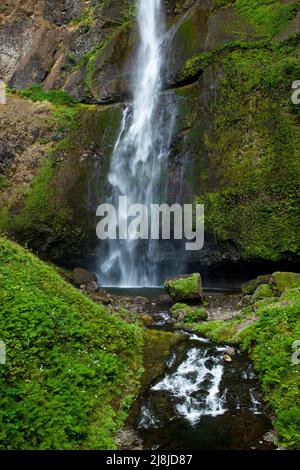 Die oberen Multnomah Falls, die sich in der Columbia River Gorge befinden, sind mit 620 Fuß oder 189 Metern der höchste Wasserfall im US-Bundesstaat Oregon. Stockfoto