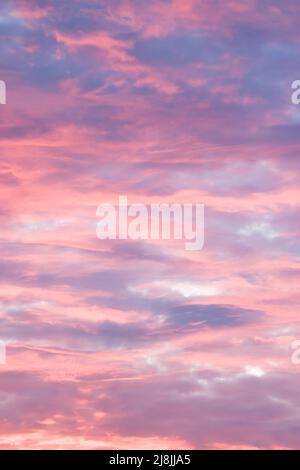 Dramatischer launischer Himmel bei Sonnenuntergang mit roten, rosa und blauen Sturmwolken. Skyscape-Muster, Textur oder Hintergrund, UK Stockfoto