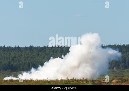 Weißer Rauch von einem beginnenden Waldbrand im Gras Stockfoto