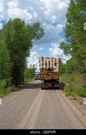 Zwei Holzfäller, die sich auf einer schmalen Schotterstraße im Süden von Colorado, USA, überqueren. Stockfoto