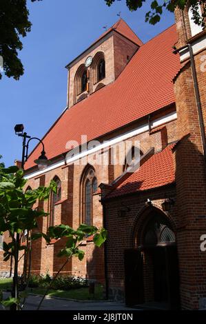 Pomorze Gdańskie, Polen, Polen; Kirche der Heiligen Apostel Peter und Paul in Puck; Kirche der Heiligen Apostel Peter und Paul in Puck; gotyk Stockfoto