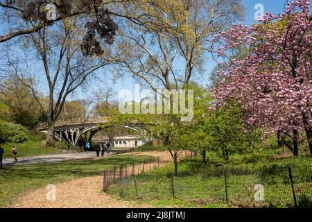 Central Park ist eine wunderschöne Oase im Frühling, New York City, USA 2022 Stockfoto