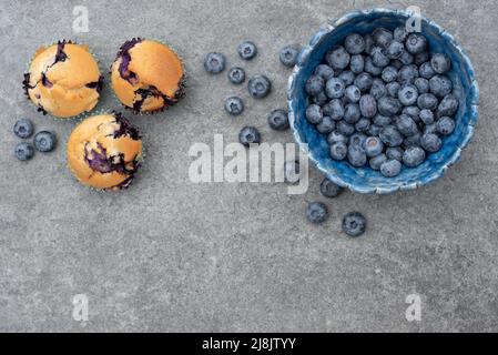 Auf den ersten Schuss einer hausgemachten blauen Tonschüssel gefüllt mit frischen Blaubeeren. Daneben gibt es Blaubeer-Muffins. Auf der Seite ist Platz für Text. Stockfoto
