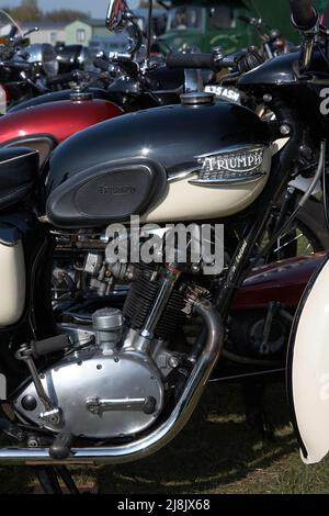 Nahaufnahme des kultigen Triumph Motorrads Stockfoto