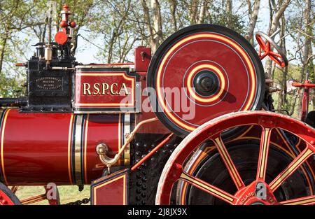 Das Steam Fair Vehicle Zeigt Den Traktionsmotor An Stockfoto