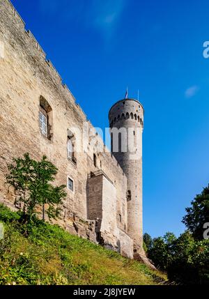 Pikk Hermann Tower, Schloss Toompea, Tallinn, Estland Stockfoto