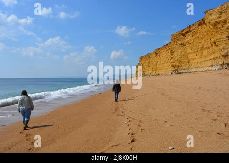 Zwei Frauen von hinten, die am Hive Beach, Dorset, England, an der Küste unter Klippen spazieren Stockfoto