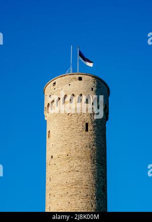 Pikk Hermann Tower, Schloss Toompea, Tallinn, Estland Stockfoto