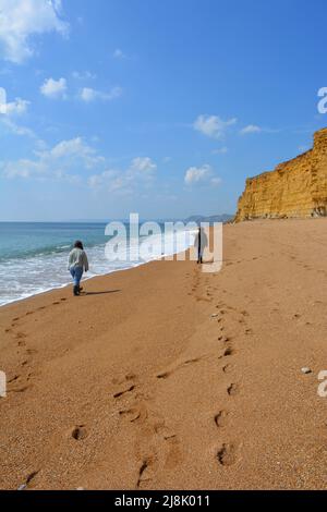 Zwei Frauen von hinten, die am Hive Beach, Dorset, England, an der Küste unter Klippen spazieren Stockfoto