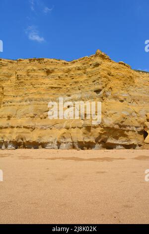 Felswand mit Felsschichten und Erosion an der zum Weltkulturerbe erndenden Jurassic Coast, in Hive Beach, Burton Bradstock, Dorset, England Stockfoto