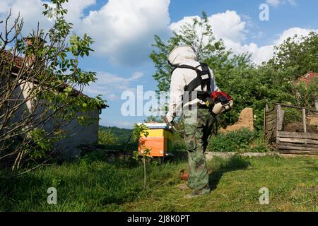 Imker mäht an einem sonnigen Frühlingstag hohes Gras mit einem benzinbetriebenen Rasentrimmer im Bienenhaus. Ein Mann trägt während der Arbeit Schutzkleidung Stockfoto