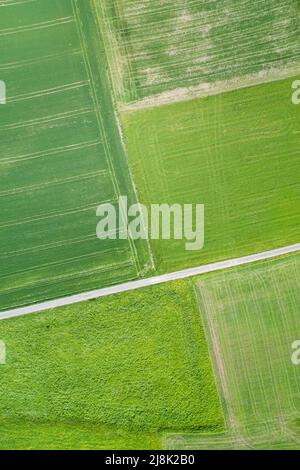 Ungebeugter Feldweg durch grüne Feldlandschaft im Frühjahr, Luftaufnahme, 04/21/22, Schweiz, Zürcher Oberland Stockfoto