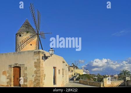 Windmühle in Palma de Mallorca, Spanien, Balearen, Mallorca Stockfoto