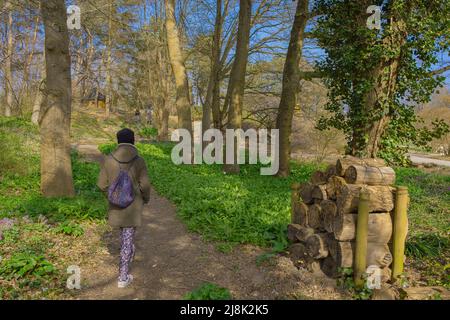 Besucher im Botanischen Garten, Deutschland, Hamburg Stockfoto