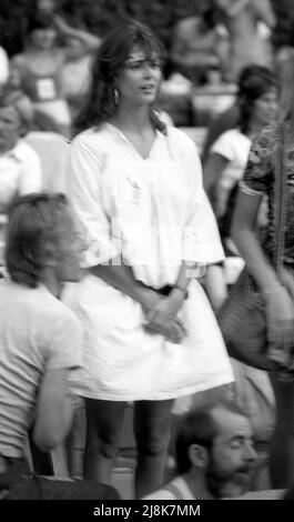 Fans des No Nukes konert beim Hollywood Bowl und hören Bruce Springsteen und Jackson Browne 1981 Stockfoto