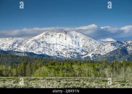 Schneebedeckte Centennial Mountains entlang der kontinentalen Kluft von der Yale Kilgore Road, Island Park, Clark County, Idaho, USA Stockfoto