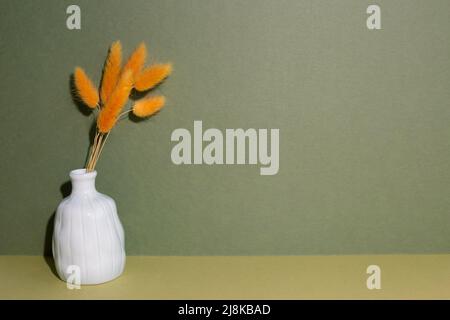 Vase von orangen Hasen Schwanz Gras trockene Blumen auf dem Tisch. Khaki grünen Hintergrund Stockfoto