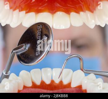 Ein Zahnarzt untersucht die Zähne, Blick aus dem Mund des Patienten, Nahaufnahme. Stockfoto