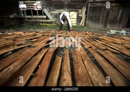 Ein Mann, der Zimt trocknet, bellt in der Sonne in Kayu Aro, Kerinci, Jambi, Indonesien. Stockfoto