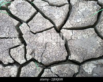 Getrockneter Sumpfboden, der eine rissige Textur erzeugt. Stockfoto