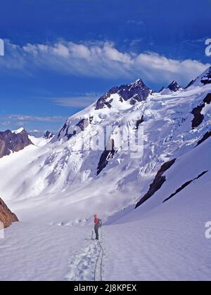 Blue Glacier Icefall und East Peal of Olympus, Mt. Olympus, Olympic National Park, Washington Stockfoto