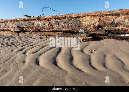 Überreste einer alten Anlegestelle auf der ostfriesischen Insel Spiekeroog, Deutschland Stockfoto