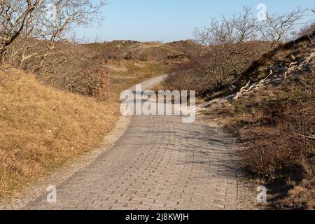 Gepflasterter Weg durch die Dünen von Spiekeroog, Deutschland Stockfoto