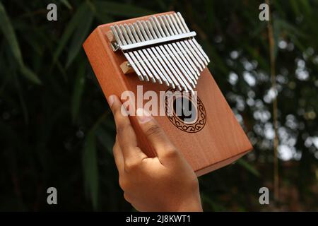 Kalimba ein afrikanisches Musikinstrument mit Hand im Garten Stockfoto
