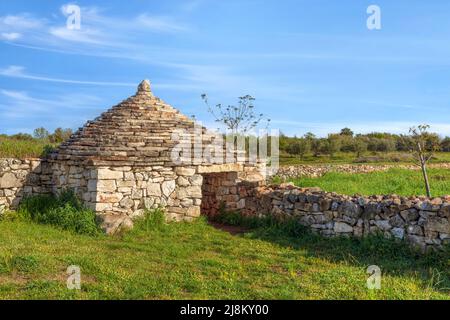 Vodnjan, Istrien, Kroatien, Europa Stockfoto