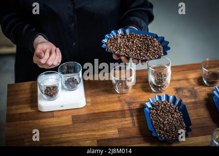 Professionelles Schröpfen von Kaffee und Kaffeeverkostung mit Kaffeebohnen im Maßstab Stockfoto