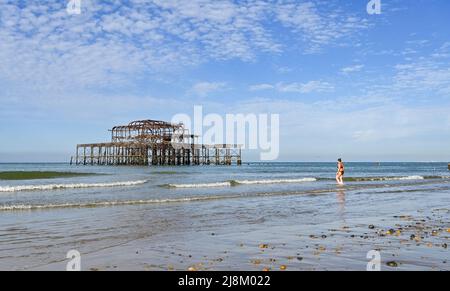 Brighton Großbritannien 17.. Mai 2022 - ein Schwimmer am frühen Morgen geht am West Pier von Brighton ins Meer, da heute die bis dato heißeste des Jahres sein wird und die Temperaturen in einigen Teilen Großbritanniens voraussichtlich 26 Grad erreichen werden: Credit Simon Dack / Alamy Live News Stockfoto