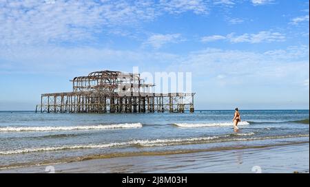 Brighton Großbritannien 17.. Mai 2022 - ein Schwimmer am frühen Morgen geht am West Pier von Brighton ins Meer, da heute die bis dato heißeste des Jahres sein wird und die Temperaturen in einigen Teilen Großbritanniens voraussichtlich 26 Grad erreichen werden: Credit Simon Dack / Alamy Live News Stockfoto