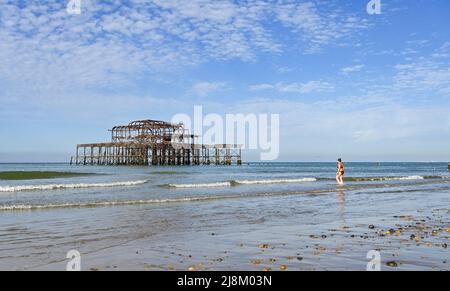 Brighton Großbritannien 17.. Mai 2022 - ein Schwimmer am frühen Morgen geht am West Pier von Brighton ins Meer, da heute die bis dato heißeste des Jahres sein wird und die Temperaturen in einigen Teilen Großbritanniens voraussichtlich 26 Grad erreichen werden: Credit Simon Dack / Alamy Live News Stockfoto