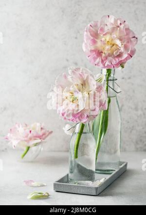 Wunderschöne floristische Frühlingsgestaltung mit pastellweißen und rosa gefüllten Tulpenblüten in Glasflasche auf Vintage-Tablett Stockfoto