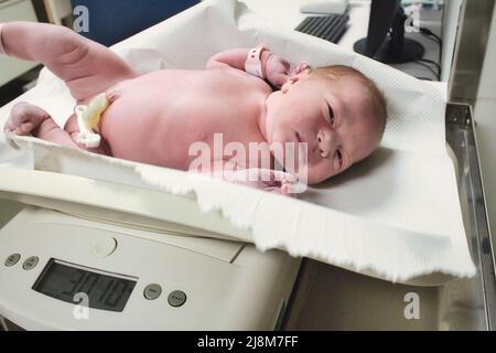 Ein neugeborenes Baby wird auf der Entbindungsstation im Krankenhaus auf einer digitalen Waage gewogen Stockfoto