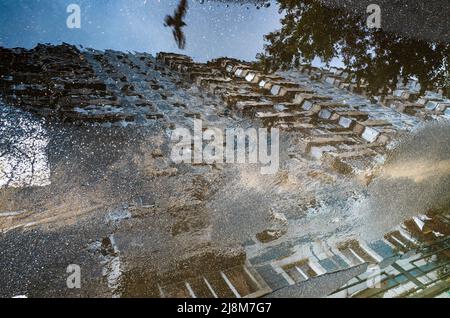 Spiegelung eines Gebäudes und eines fliegenden Vogels in einer Pfütze auf dem Asphalt nach einem Regen Stockfoto