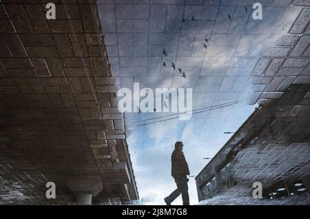 Verschwommene Silhouette der Spiegelung einer Person, die an regnerischen Tagen allein auf dem nassen Bürgersteig der Stadt läuft. Vögel fliegen über den Himmel. Abstrakte Fotografie. Stockfoto