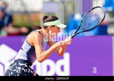 Straßburg, Frankreich. 17.. Mai 2022. Sorana Cirstea aus Rumänien in Aktion während ihres Einzelspiel-Rundes von 32 beim Internationaux de Strasbourg 2022 gegen Ekaterina Makarova im Tennis Club de Strasbourg in Straßburg, Frankreich Dan O' Connor/SPP Credit: SPP Sport Press Foto. /Alamy Live News Stockfoto