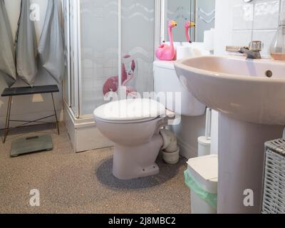 Badezimmer aus den 1980er Jahren mit einer Eckdusche mit gemustertem durchsichtigem Glas, einer rosafarbenen, eng gekoppelten Toilette und einem Waschbecken mit Sockel. Stockfoto