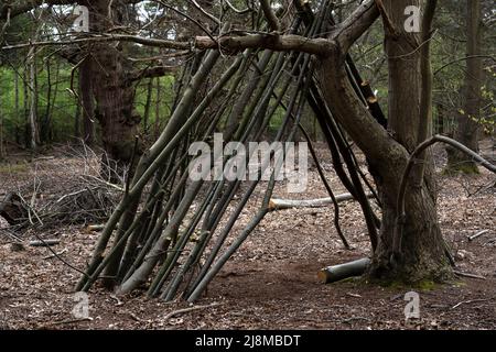 Coppening Sutton Heath Suffolk England Stockfoto