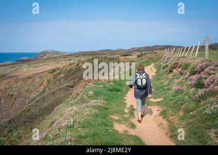 Pembrokeshire Coast Path, Rückansicht einer Frau in einem Rucksack, die auf dem Pembrokeshire Coast Path am St. David's Head, Pembrokeshire, Wales, Großbritannien, unterwegs ist Stockfoto